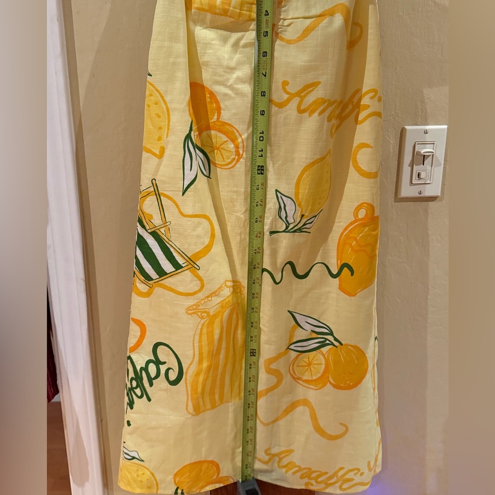 Sabo Skirt Citrus Print Midi Skirt - Picture 3 of 9